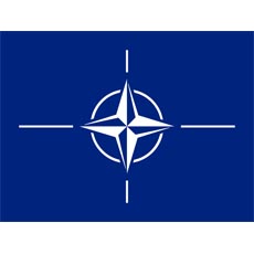 NATO Flag